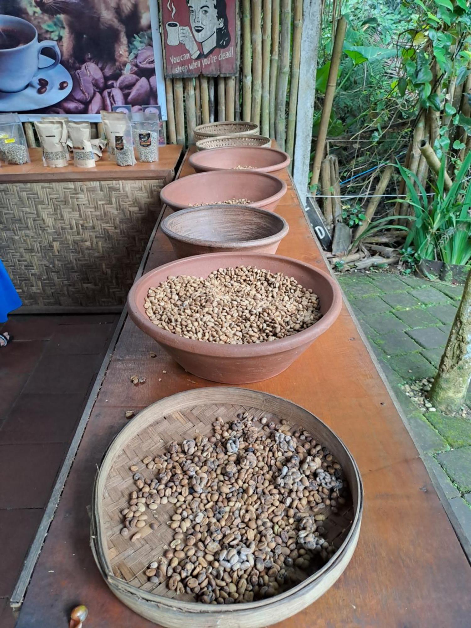 Kubu Pilatus - Family House Lombok Villa Tjakranegara Dış mekan fotoğraf